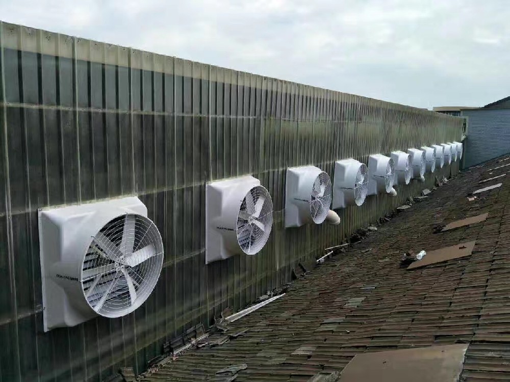 負壓風機安裝案例5